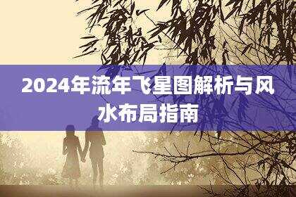 2024年流年飞星图解析与风水布局指南