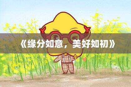 《缘分如意，美好如初》