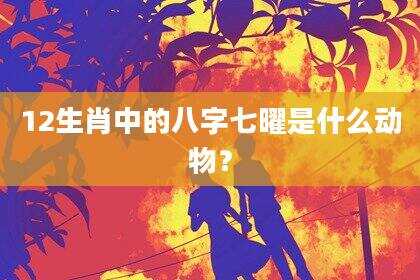 12生肖中的八字七曜是什么动物？