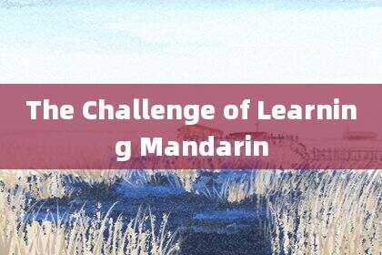 The Challenge of Learning Mandarin