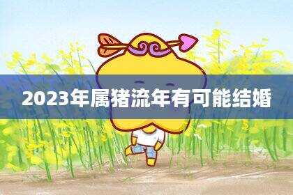 2023年属猪流年有可能结婚