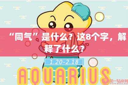 “同气”是什么？这8个字，解释了什么？