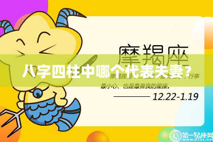 八字四柱中哪个代表夫妻？