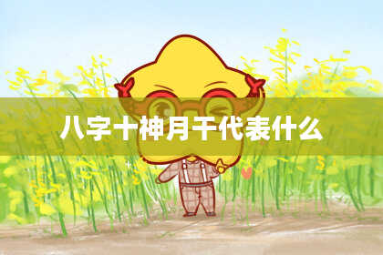 八字十神月干代表什么