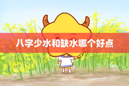 八字少水和缺水哪个好点