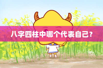 八字四柱中哪个代表自己？