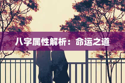 八字属性解析:命运之道