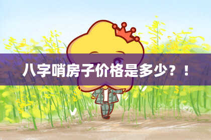 八字哨房子价格是多少？！