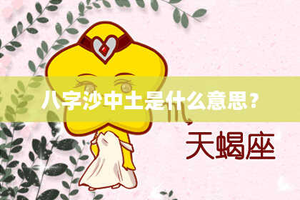 八字沙中土是什么意思？