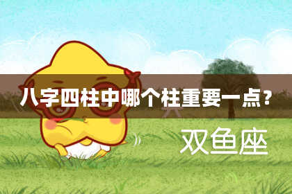 八字四柱中哪个柱重要一点？
