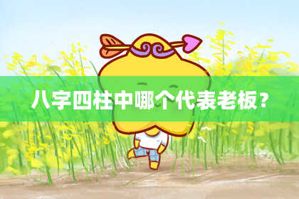 八字四柱中哪个代表老板？