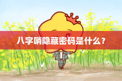 八字哨隐藏密码是什么？