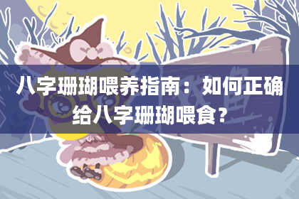 八字珊瑚喂养指南：如何正确给八字珊瑚喂食？