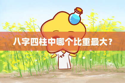 八字四柱中哪个比重最大？