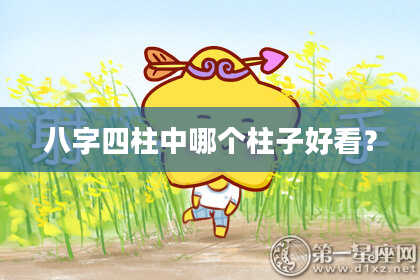 八字四柱中哪个柱子好看？