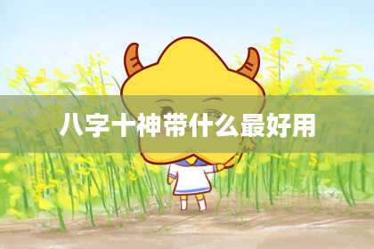 八字十神带什么最好用