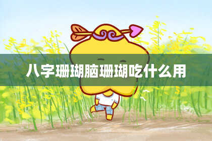 八字珊瑚脑珊瑚吃什么用