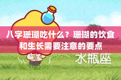 八字珊瑚吃什么？珊瑚的饮食和生长需要注意的要点