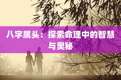 八字属头：探索命理中的智慧与奥秘