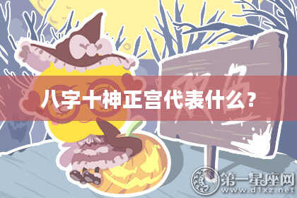 八字十神正宫代表什么？