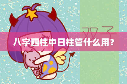 八字四柱中日柱管什么用？