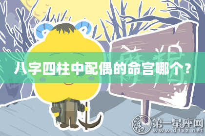 八字四柱中配偶的命宫哪个？