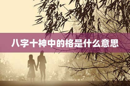 八字十神中的格是什么意思