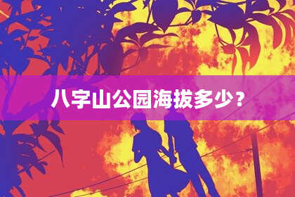 八字山公园海拔多少？