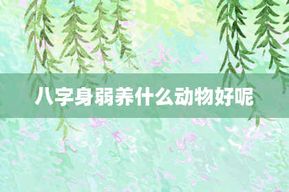 八字身弱养什么动物好呢