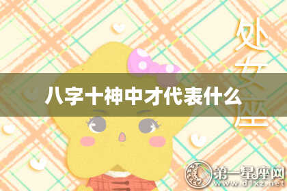 八字十神中才代表什么