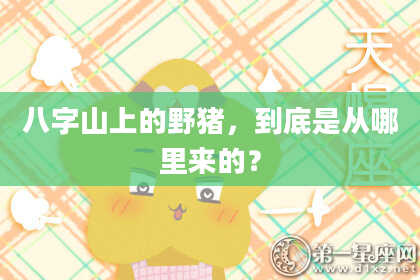 八字山上的野猪，到底是从哪里来的？