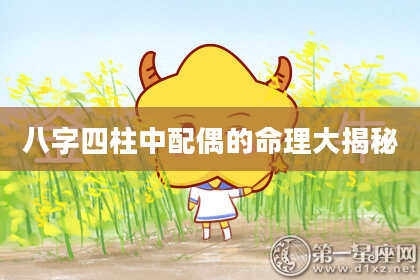 八字四柱中配偶的命理大揭秘