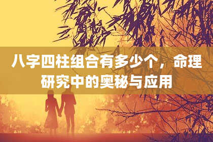 八字四柱组合有多少个，命理研究中的奥秘与应用