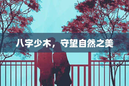 八字少木，守望自然之美
