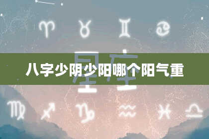 八字少阴少阳哪个阳气重