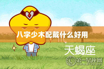 八字少木配戴什么好用