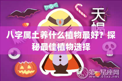 八字属土养什么植物最好?探秘最佳植物选择