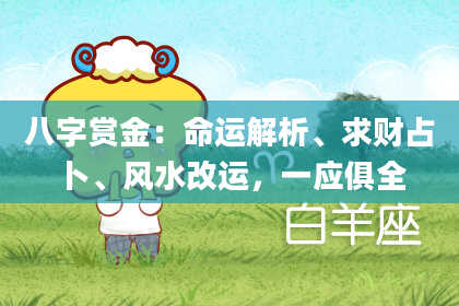 八字赏金：命运解析、求财占卜、风水改运，一应俱全