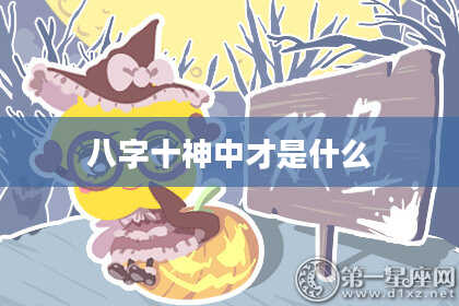 八字十神中才是什么