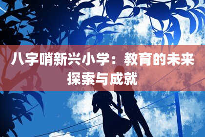 八字哨新兴小学：教育的未来探索与成就