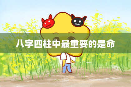 八字四柱中最重要的是命