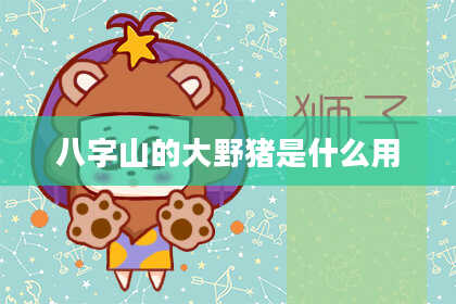 八字山的大野猪是什么用