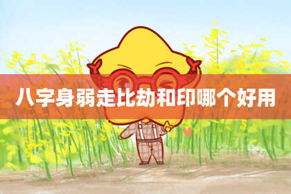 八字身弱走比劫和印哪个好用