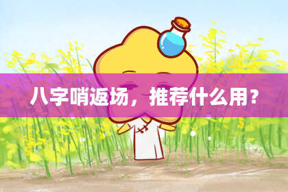 八字哨返场，推荐什么用？