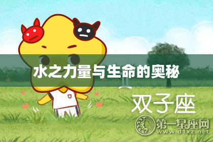 水之力量与生命的奥秘