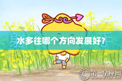 水多往哪个方向发展好？