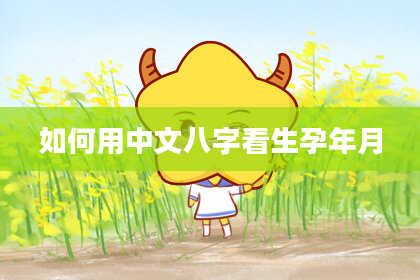 如何用中文八字看生孕年月