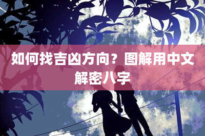 如何找吉凶方向？图解用中文解密八字