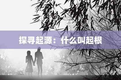 探寻起源：什么叫起根