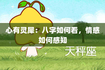 心有灵犀：八字如何看，情感如何感知